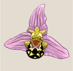 ORCHIDEE